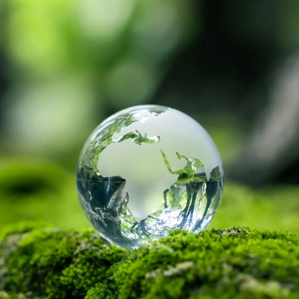 ISO 14001:2015 - ÇEVRE YÖNETİM SİSTEMİ EĞİTİMİ